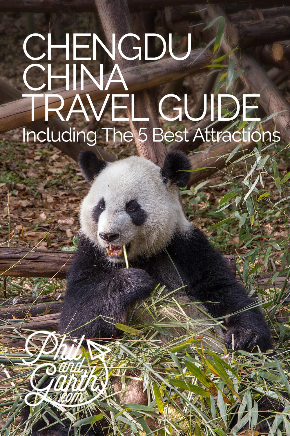 CITY GUIDE: CHENGDU