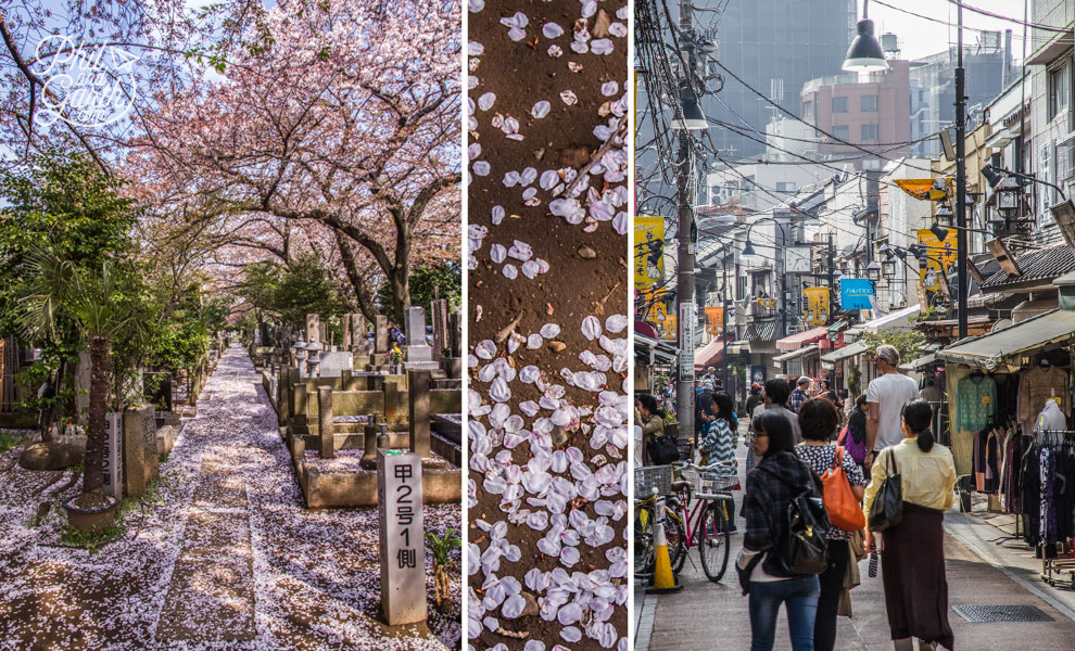 Tokyo_Yanaka_district_2_travel_review_and_video