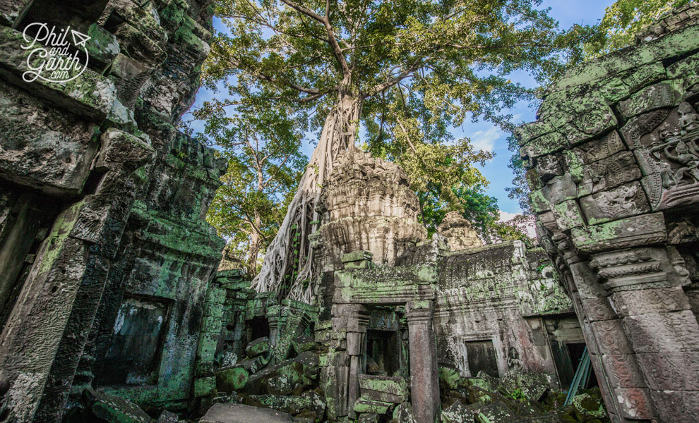 When Ta Prohm was rediscovered, a decision was taken to leave it exactly as it was found