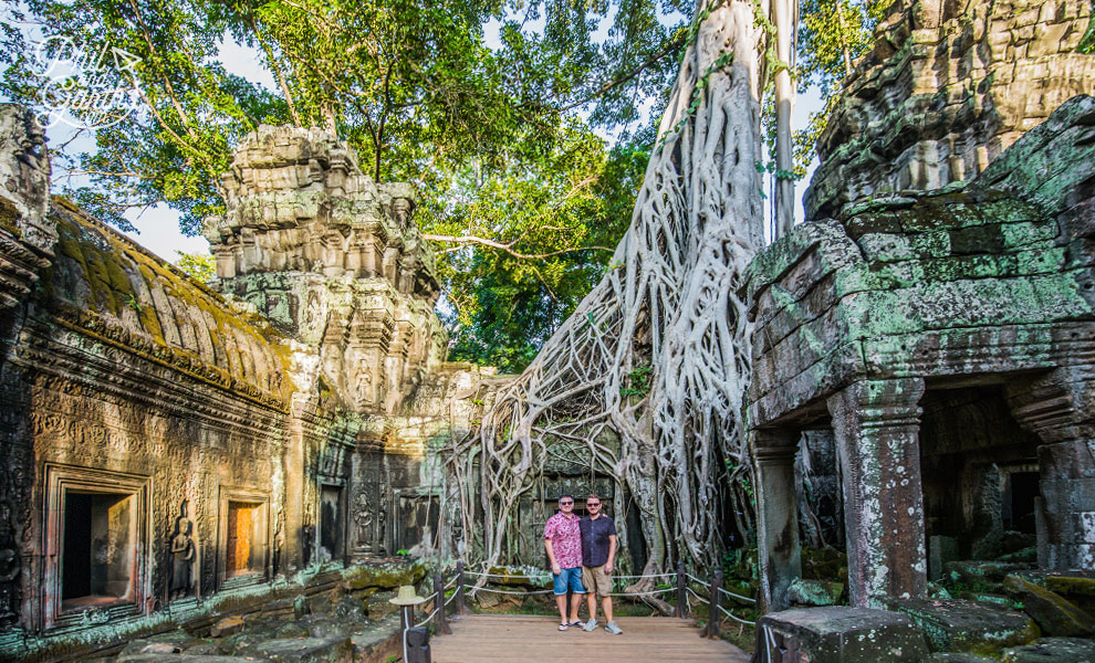 Spectacular roots!