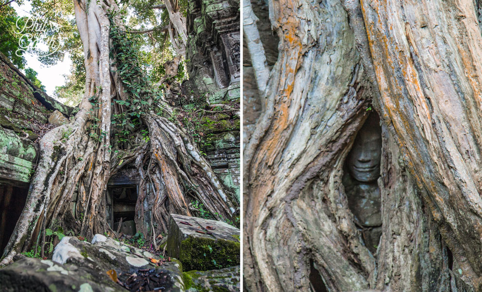 Seek out this hidden face at Ta Prohm