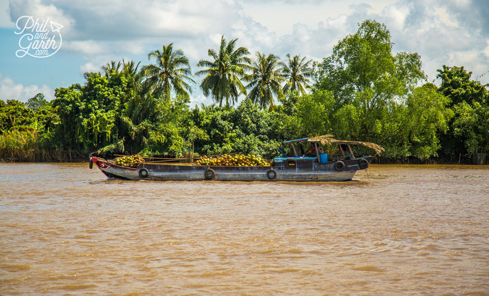 A barge laden with coconuts