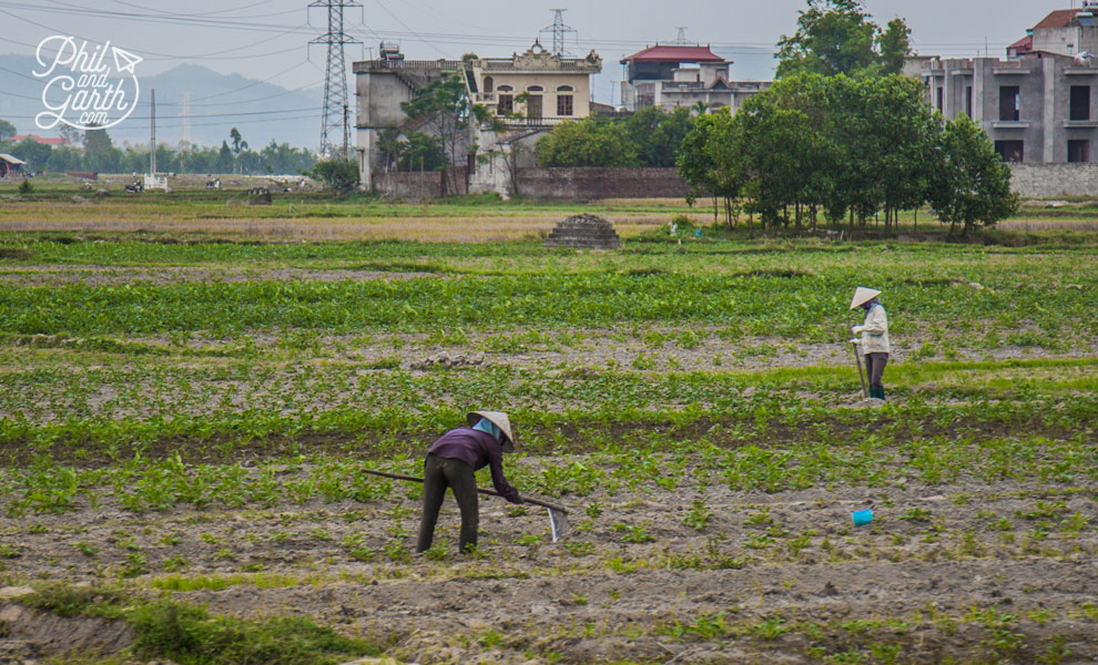 Manual labour in the farming fields