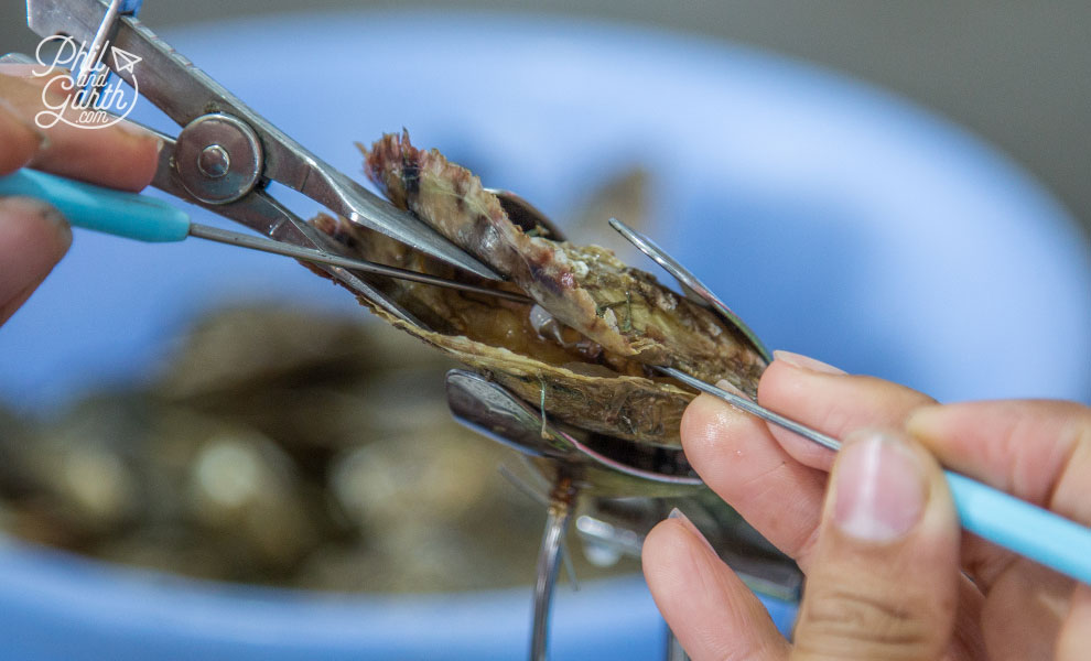 Performing surgery on an oyster