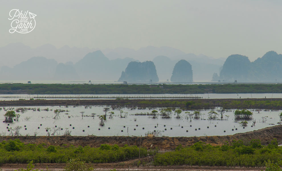 Pearl farm fields on the edge of Ha Long Bay