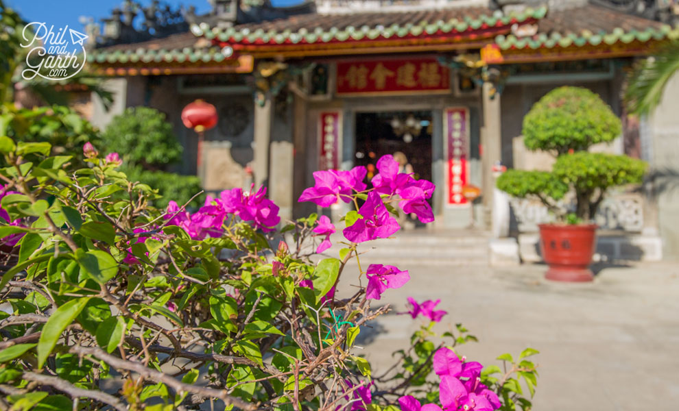 Ornamental plants and Bougainvillea flowers fill the small gardens