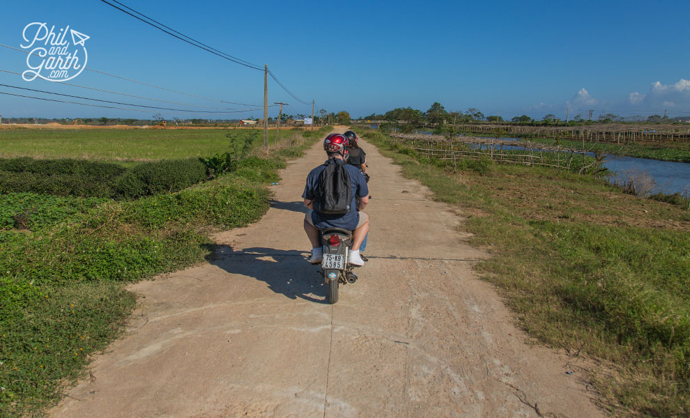 Phil in the rice fields