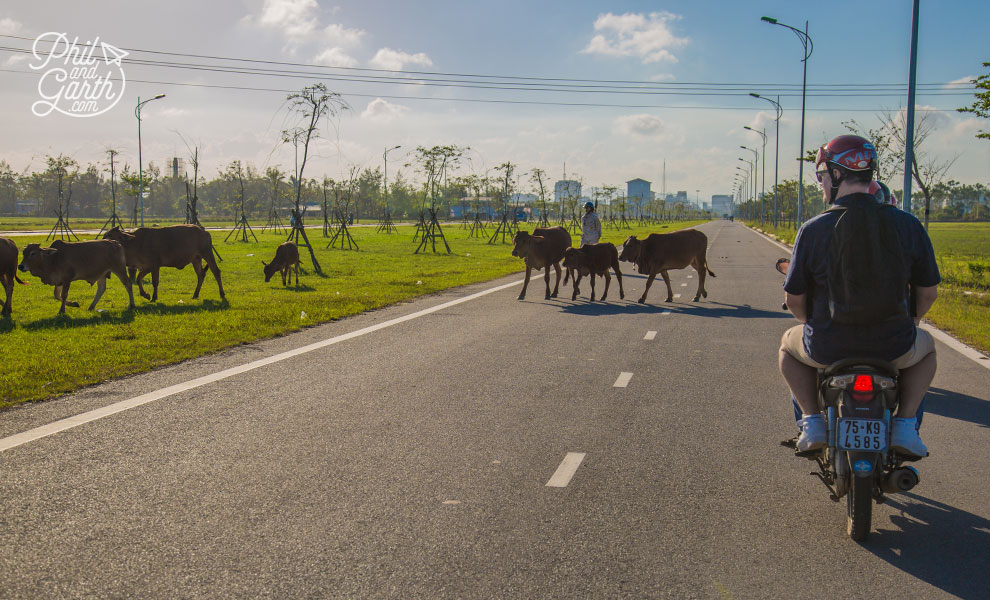 Typical road scenes