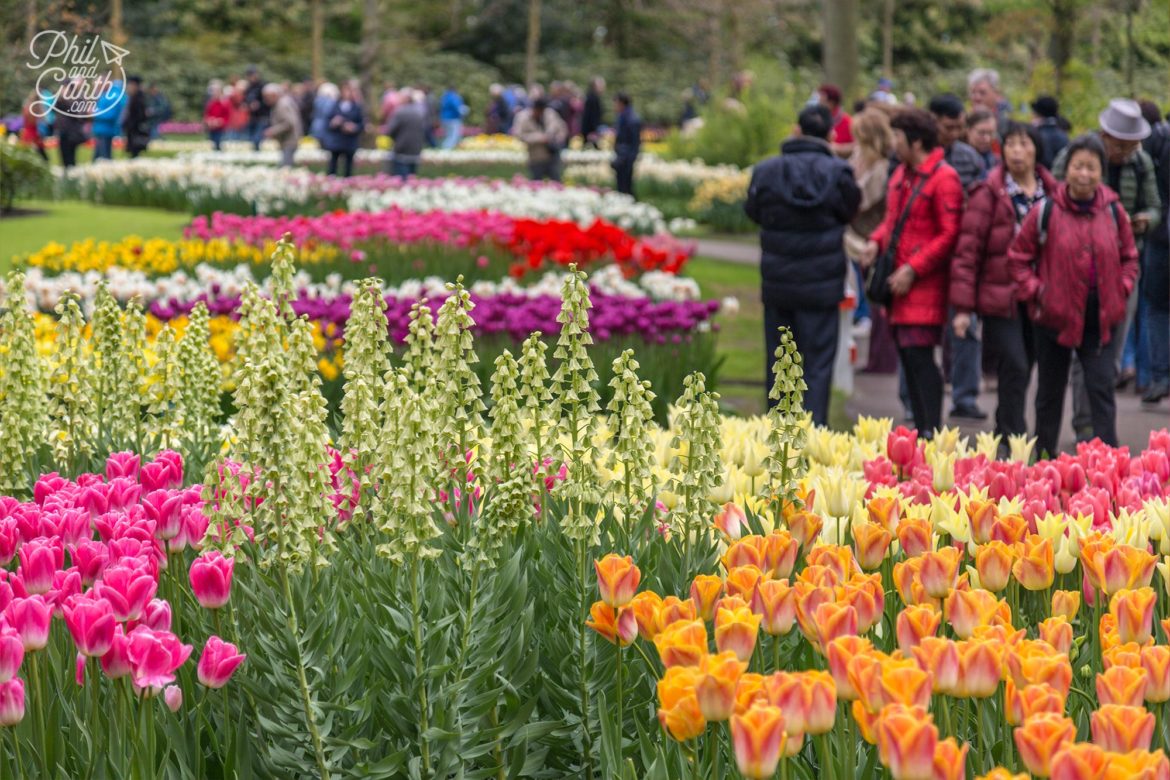 Keukenhof Tulip Gardens & Fields Near Amsterdam - Phil and Garth