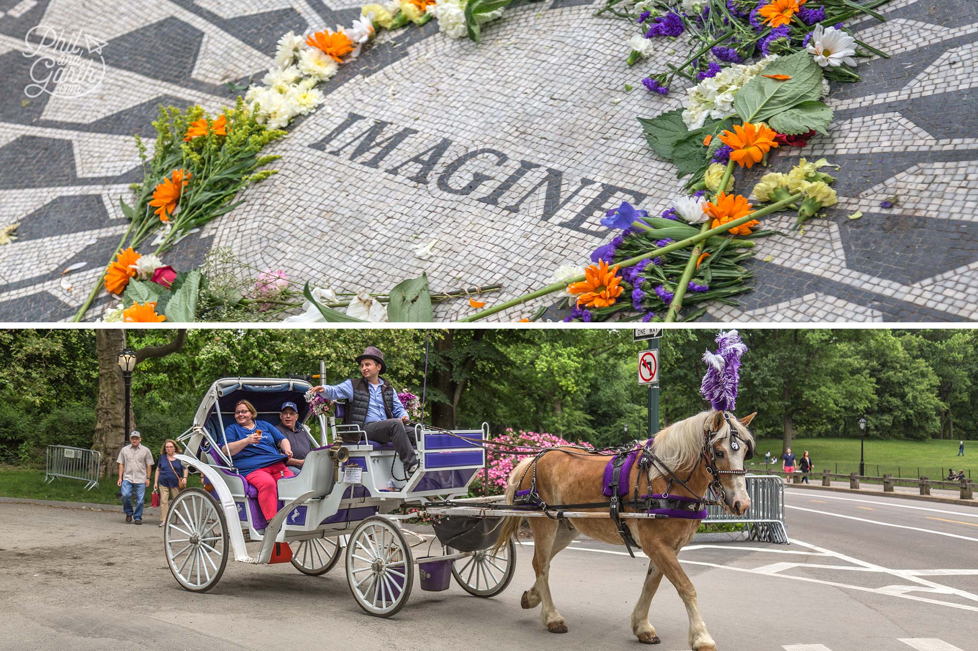 Strawberry Fields, Central Park