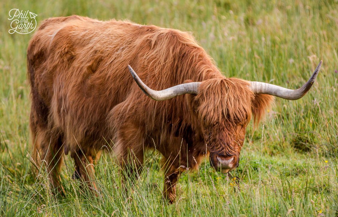 Scotland's Dramatic Isle of Skye In 1 Day - Phil and Garth