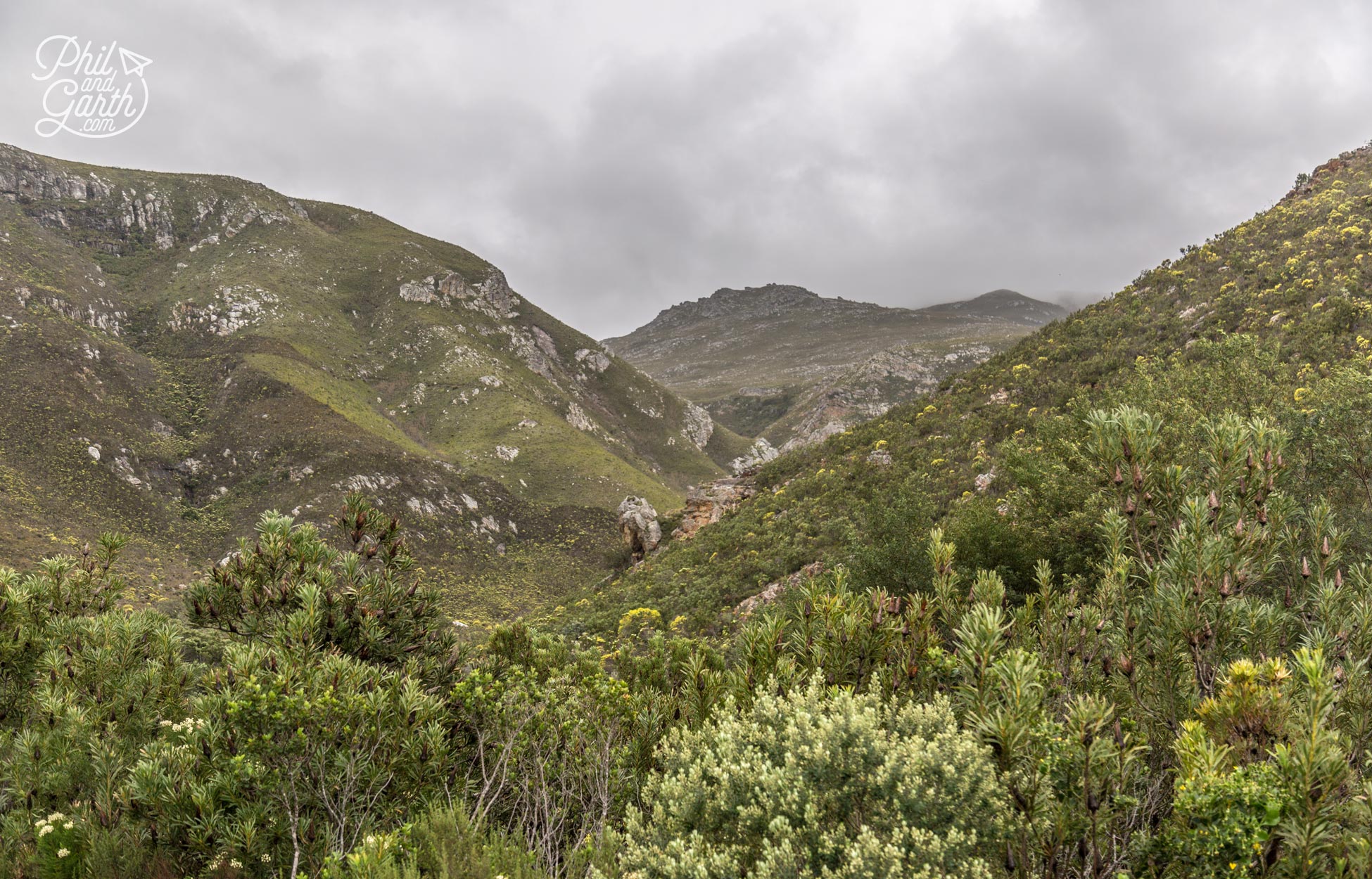 Fernkloof Nature Reserve