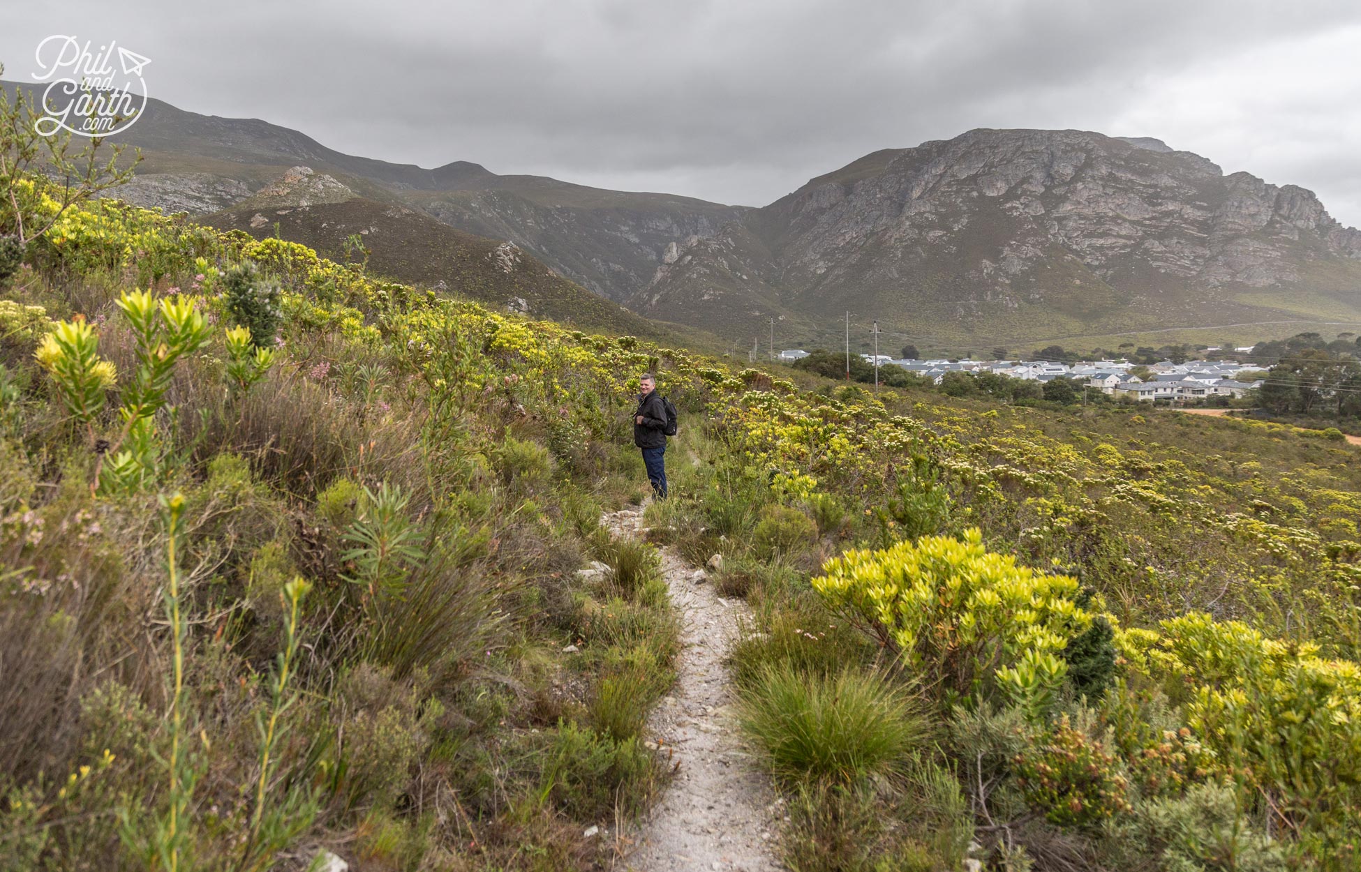 Phil on one of the walking trails of Fernkloof Nature Reserve