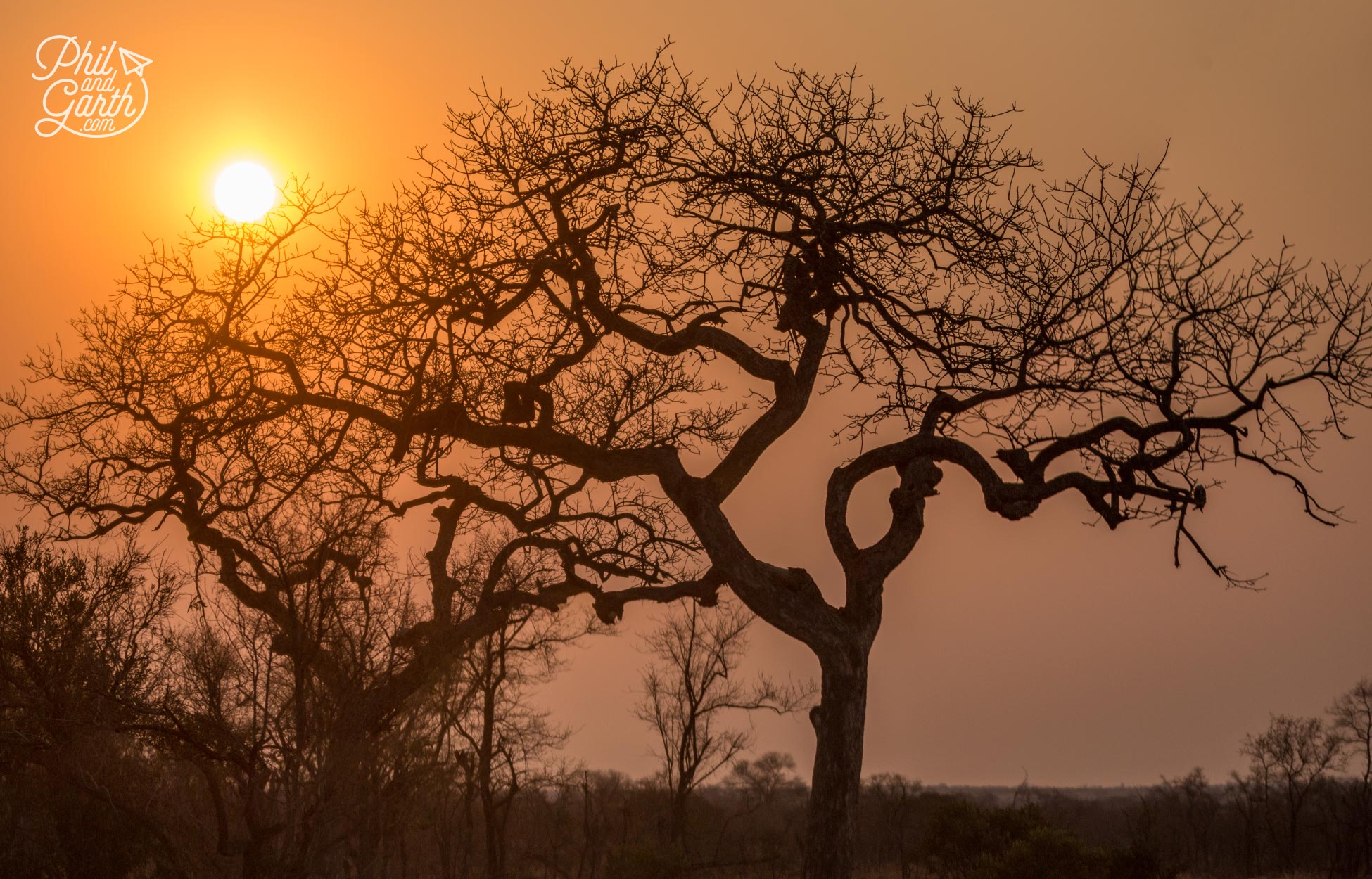 2 Day Kruger National Park Safari | Phil and Garth