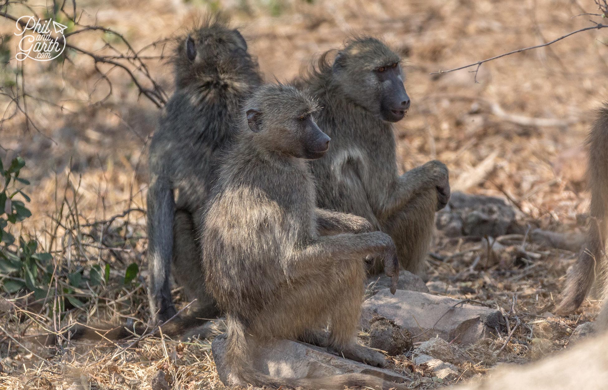 2 Day Kruger National Park Safari | Phil and Garth