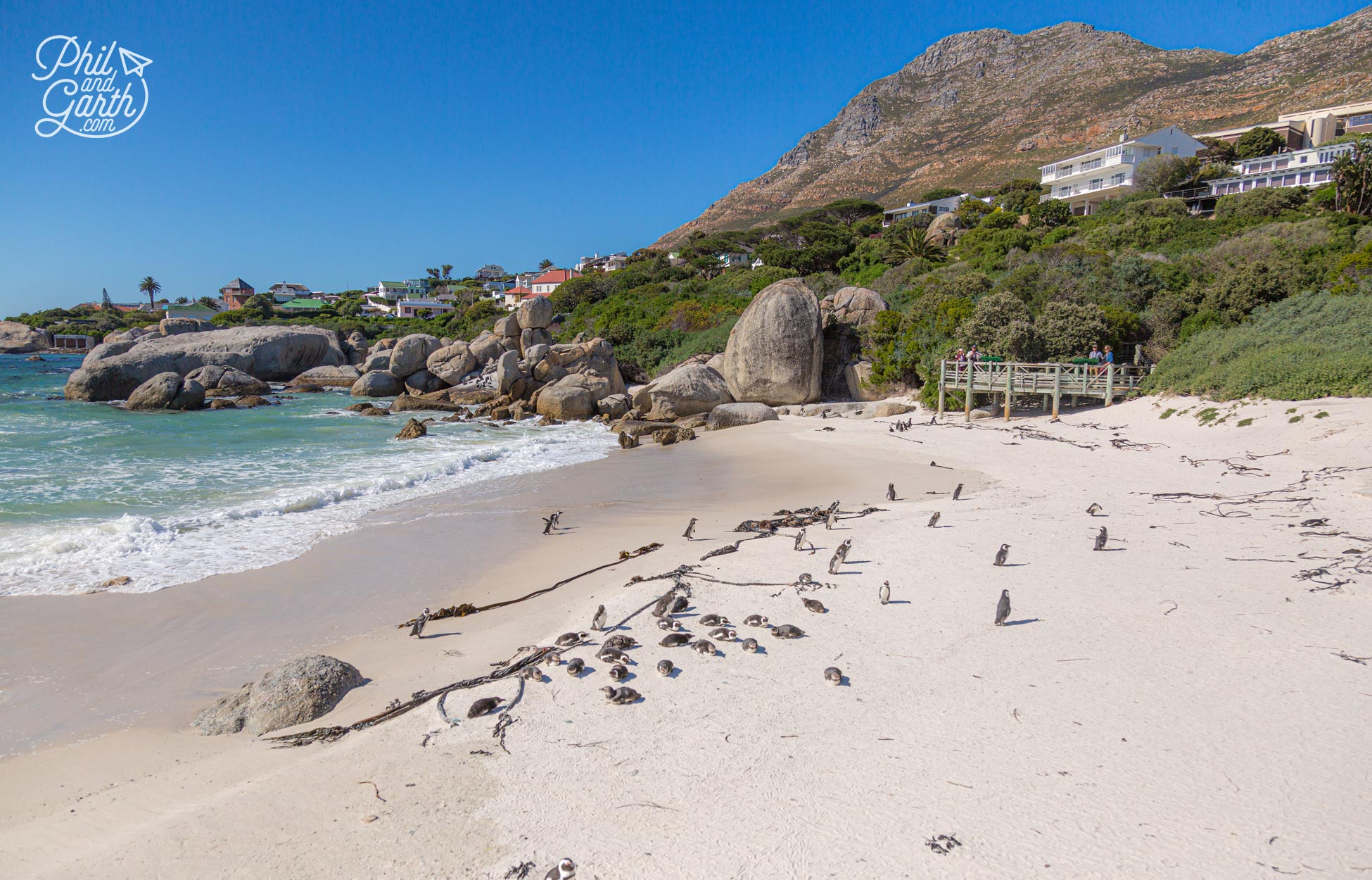 As seen from the viewing platform - Foxy Beach home to the endangered African Penguins