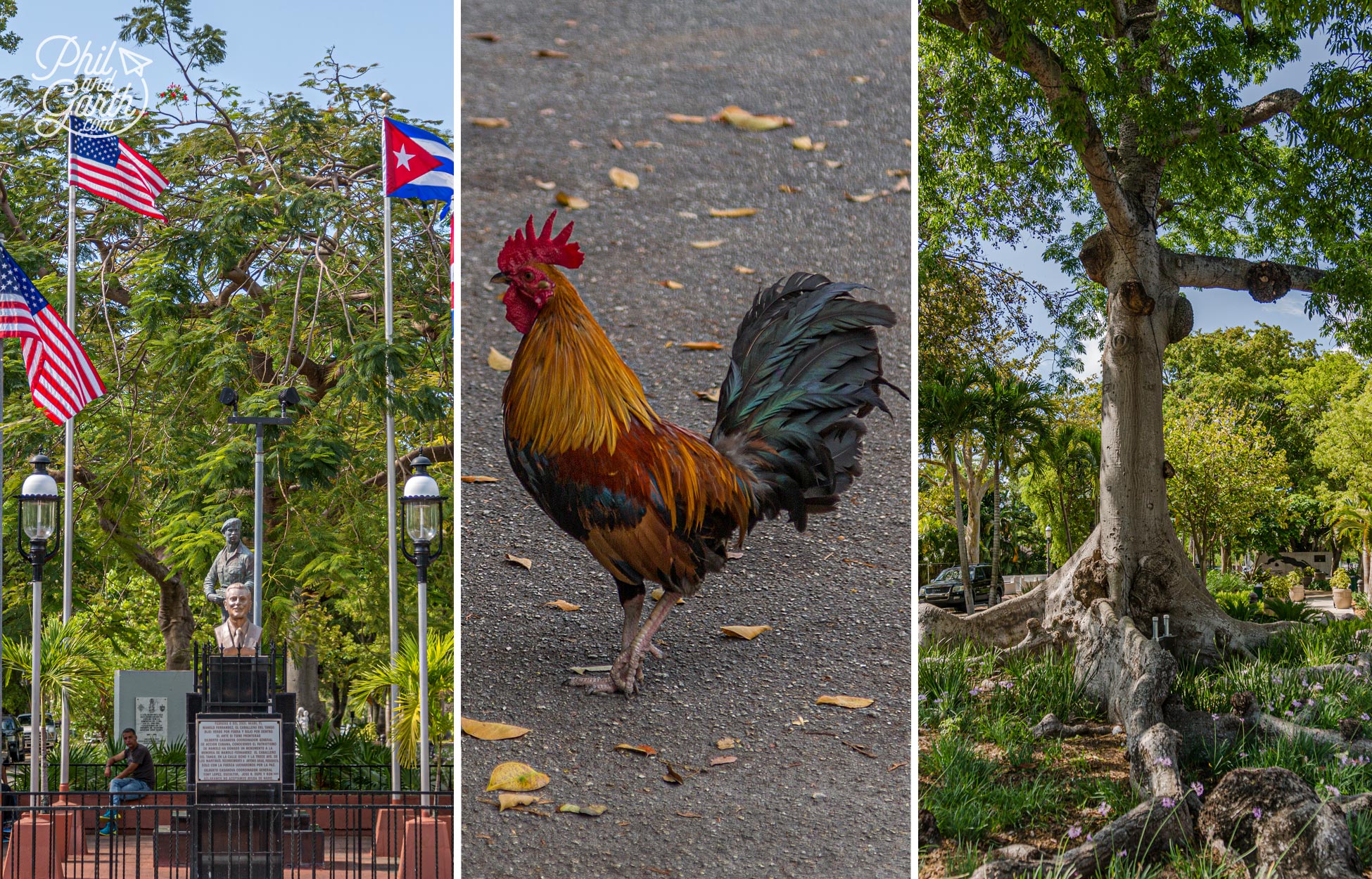 Cuban Memorial Boulevard, Little Havana