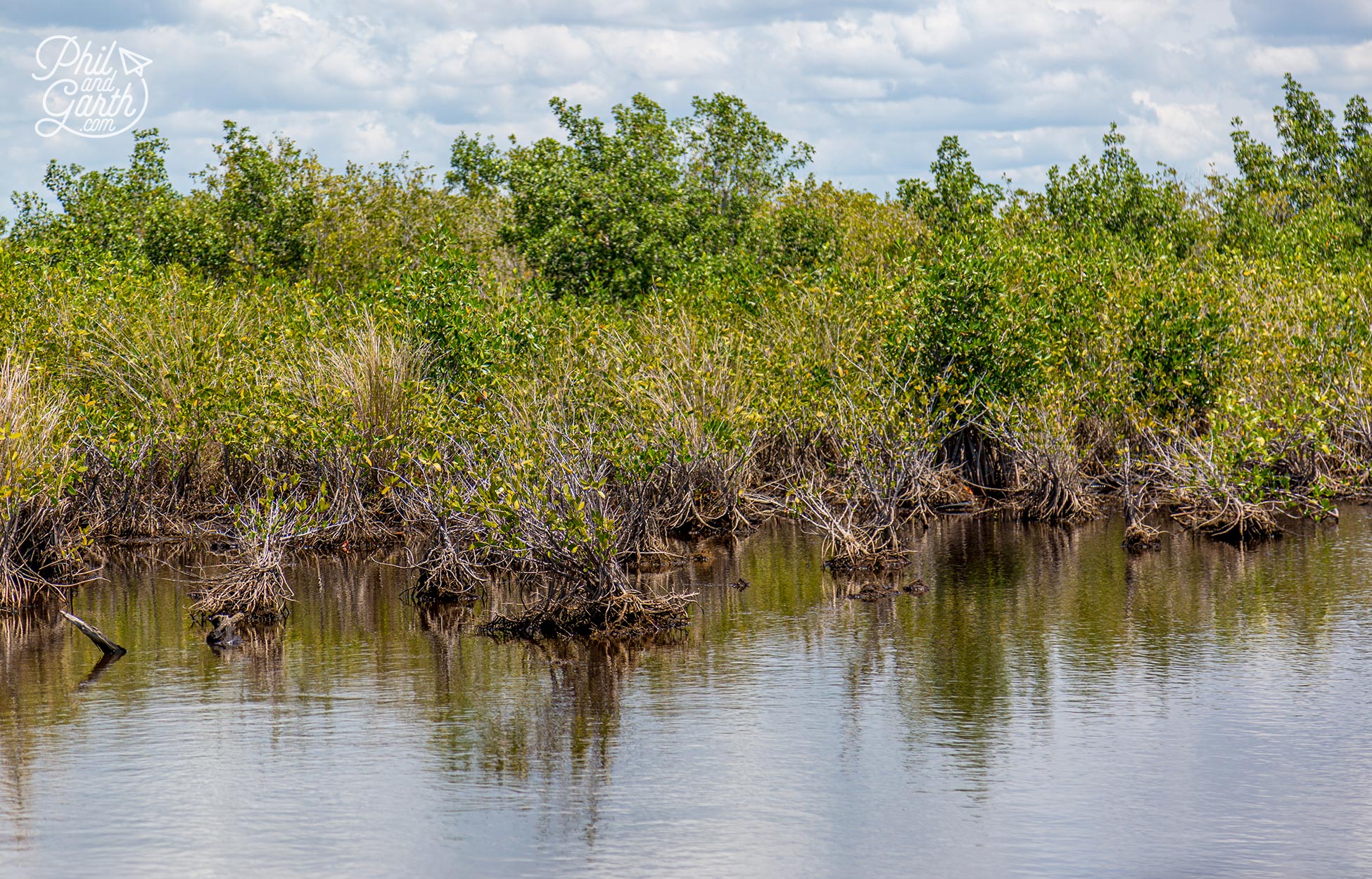 Fort Lauderdale Airboat Rides Through The Everglades - Phil and Garth