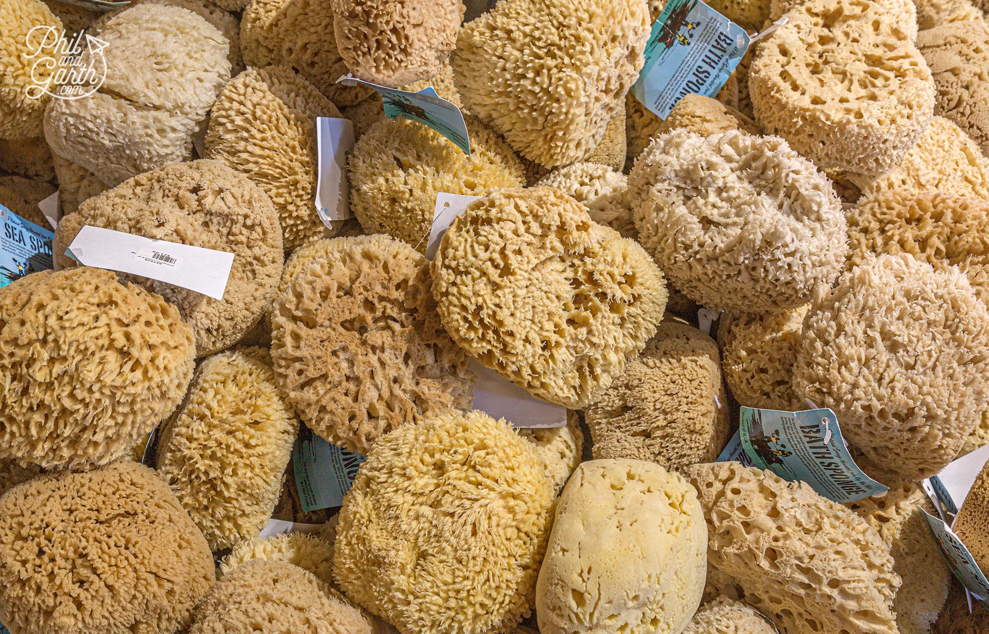 A sea sponge makes a useful souvenir to take home from Key West