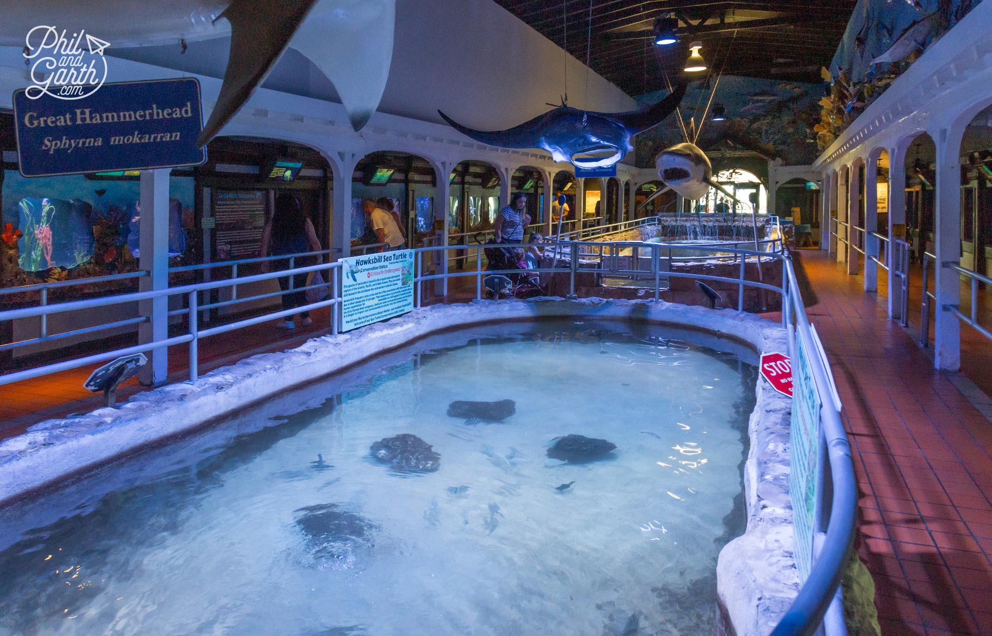 Inside the Key West Aquarium