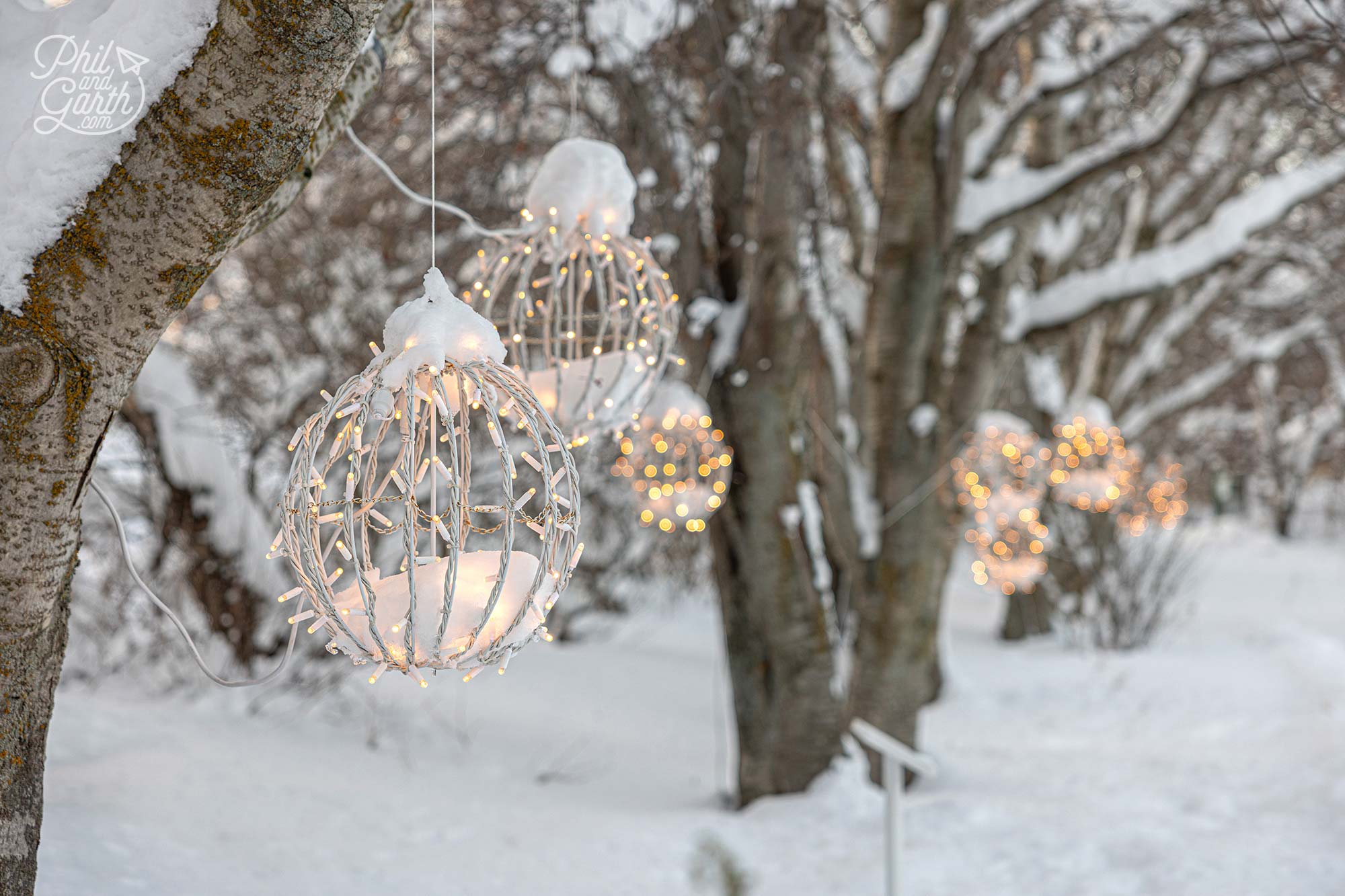 Akureyri Botanical Garden looks very pretty in winter