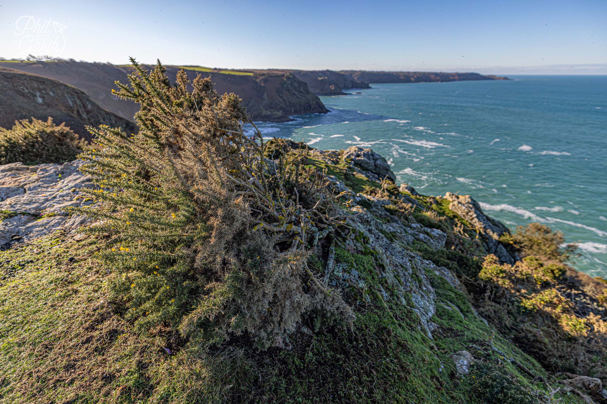 Wild views of Jersey from the conservation area